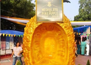 PM Modi expresses happiness over Meghalaya’s pineapples getting recognition