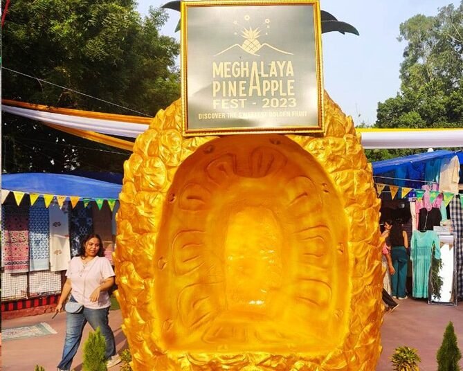 PM Modi expresses happiness over Meghalaya’s pineapples getting recognition