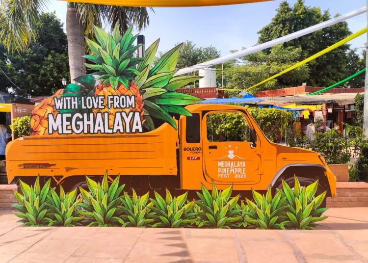 Meghalaya looks to promote local pineapples with Delhi festival