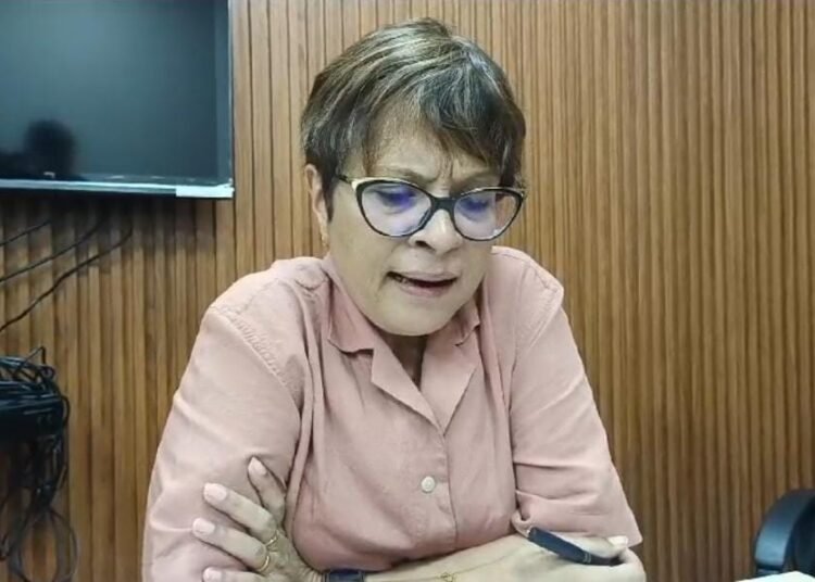 Ampareen promises to re-verify documents