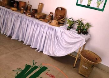 Awareness programme in Tura held on World Bamboo Day