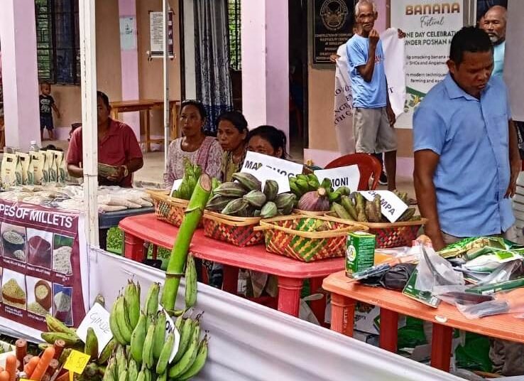 North Garo Hills hosts banana fest at Gokulgre