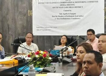 DISHA meeting reviews progress of development works in SWGH