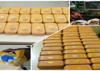 DRI seizes methamphetamine worth over Rs 47 crore