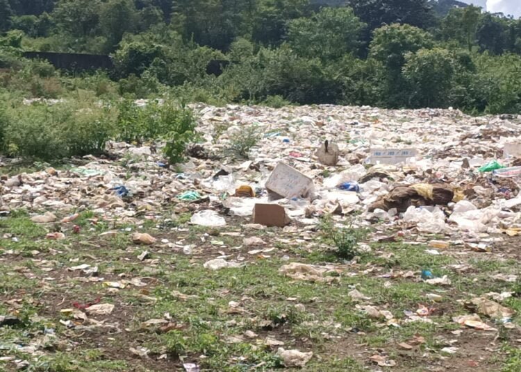 Curse of modernity: Ri-Bhoi village struggles with waste management