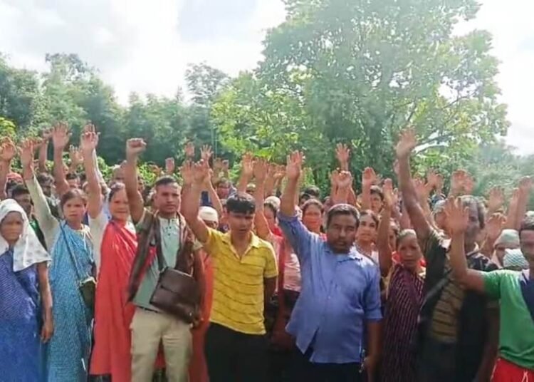 Lapangap Dorbar firm, won’t uproot planted trees