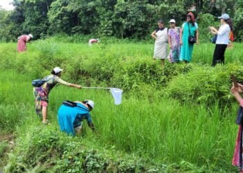 Paddy farmers get pest control training in Mawlyngkhung