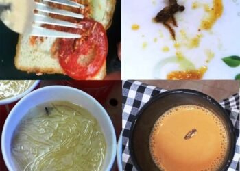 Insects found in NIFT hostel food; management takes note