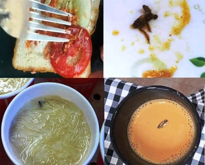 Insects found in NIFT hostel food; management takes note
