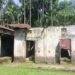 ASWA demands repair of dilapidated schools in Selsella