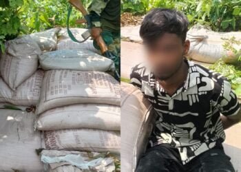 BSF nabs Bangladeshi minor with 5600kg sugar