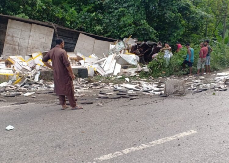 Fish-laden truck overturns on NH 6, 2 hurt