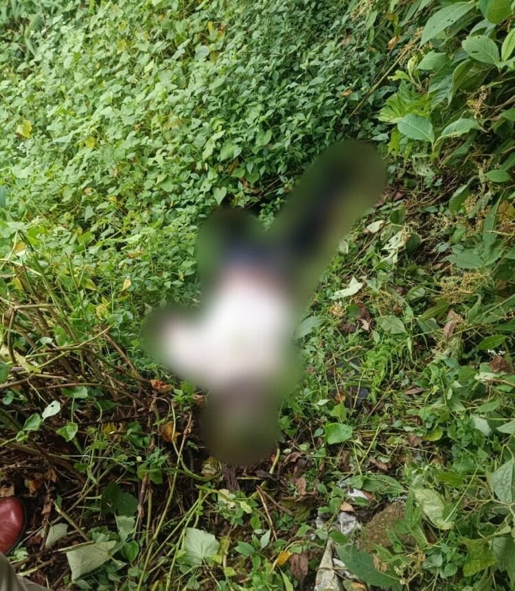 Decomposed body found in Mawkyrwat