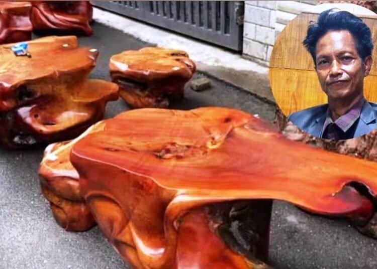 Natural root wood design: Umniuh Tmar villager starts rare venture