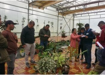Air Force museum staff trained on orchid cultivation