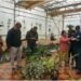 Air Force museum staff trained on orchid cultivation