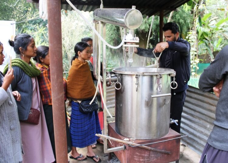 IBSD organises training prog for medicinal plants cultivation