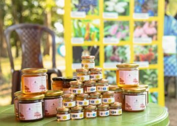 Govt declares Chigitchakgre a ‘bee village’