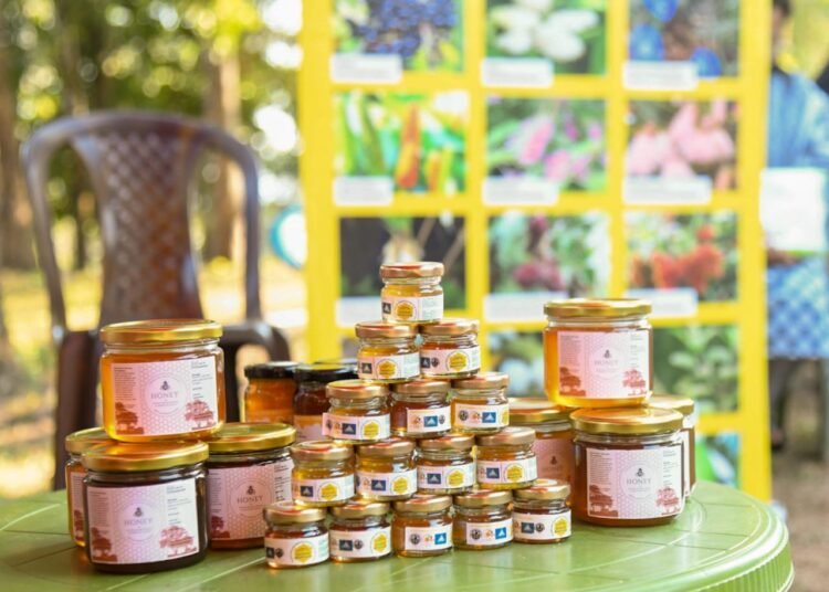 Govt declares Chigitchakgre a ‘bee village’