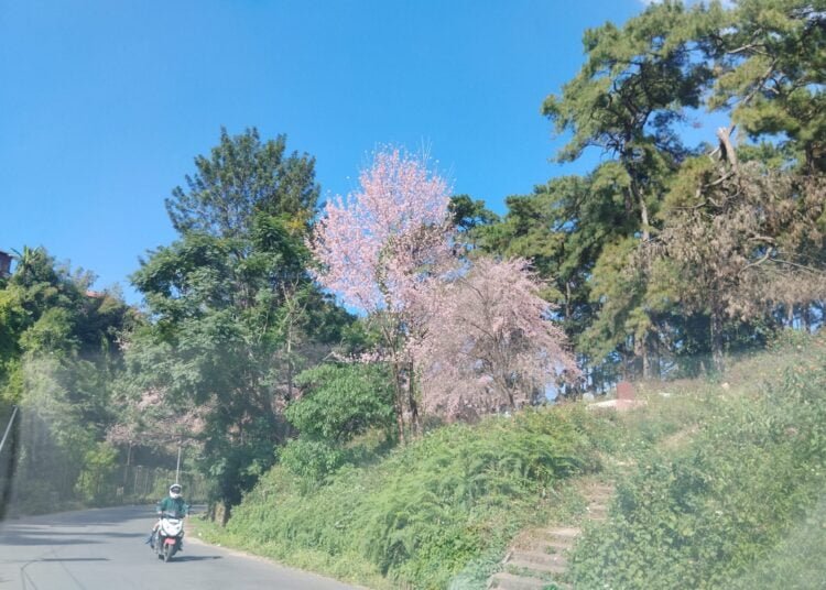 Loitering in Lawmali area banned to curb illegal activities