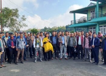 VPP a flash in the pan, feels NPP