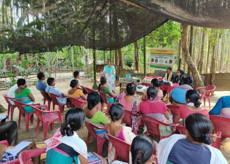 Famers attend training on production tech of winter veggies