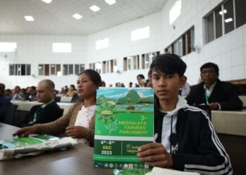 Meghalaya’s Lakadong turmeric gets GI tag