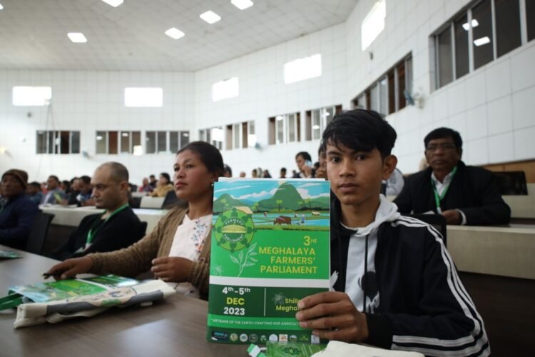 Meghalaya’s Lakadong turmeric gets GI tag