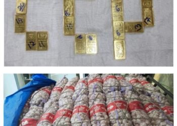 Customs officers strike gold: Chinese garlic seized