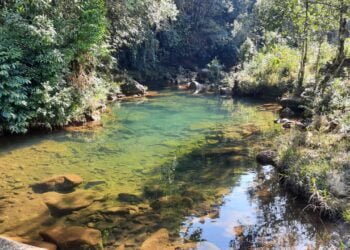 Two children drown in river