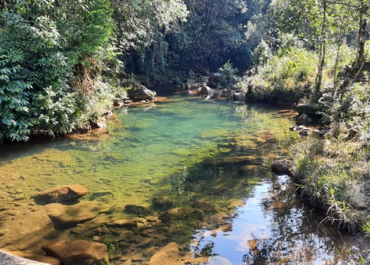 Two children drown in river