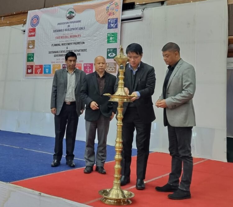 Youth attend workshop on SDG engagement