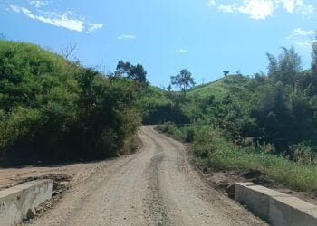 Dy CM lauded for inspecting Ranikor-Baghmara road project