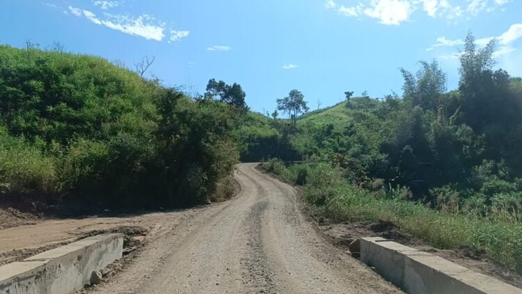 Dy CM lauded for inspecting Ranikor-Baghmara road project