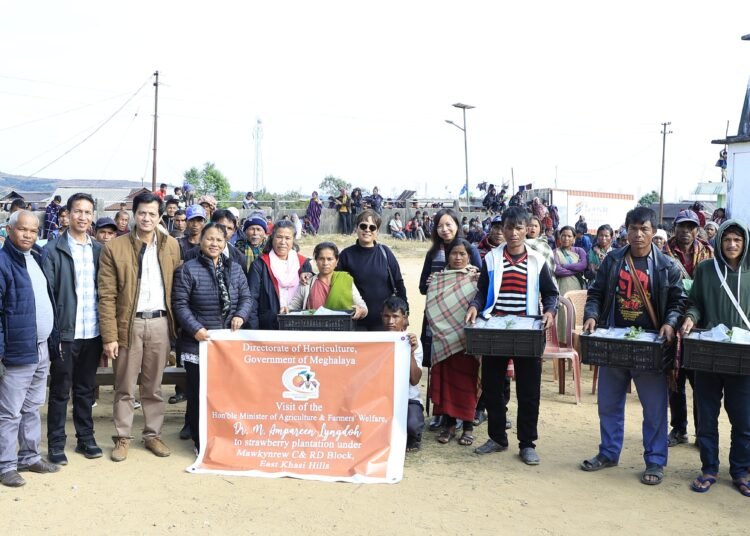 Horticulture Dept looks to boost strawberry cultivation