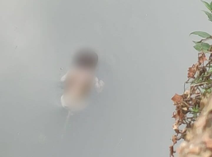 Body of newborn girl found floating in river