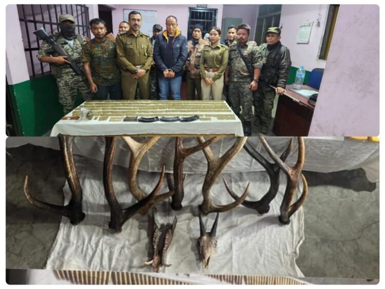 Mizoram resident arrested with huge haul of ammo, animal parts