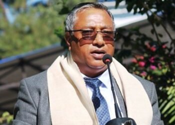 Hek would be great candidate: BJP spokesman