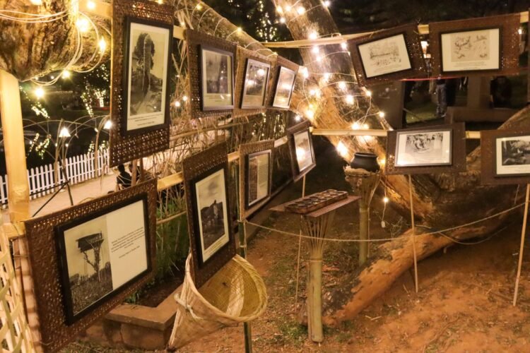 Winter Tales in Ward’s Lake from Dec 14