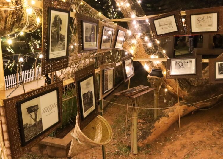 Winter Tales in Ward’s Lake from Dec 14