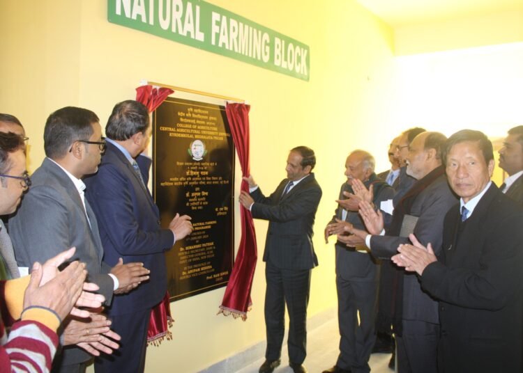 College of Agriculture introduces B.SC in natural farming