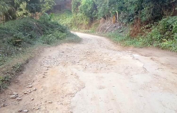 FKJGP urges Govt to blacktop abandoned road
