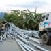 Pedestrian killed after loaded truck overturns near Umtrew