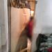 MePTCL employee found dead in quarter room