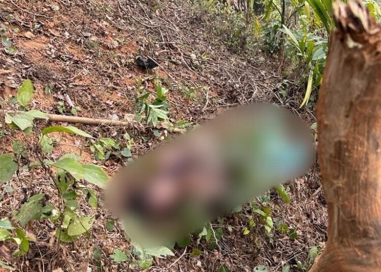 Rongjeng driver brutally murdered, pressure group demands justice