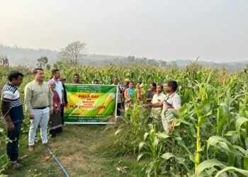 Farmer’s field day on maize held in SGH