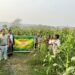 Farmer’s field day on maize held in SGH