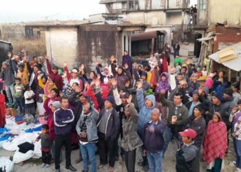 Desperate farmers in SWKH decide to kill wild elephants