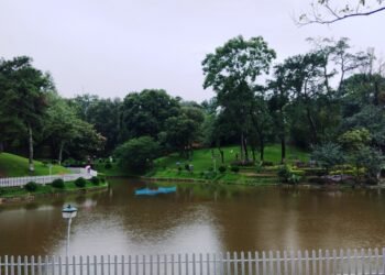 ‘Evening market’ at Ward’s Lake aims to boost local economy