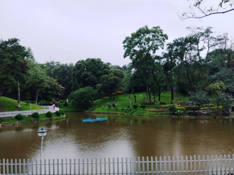 ‘Evening market’ at Ward’s Lake aims to boost local economy